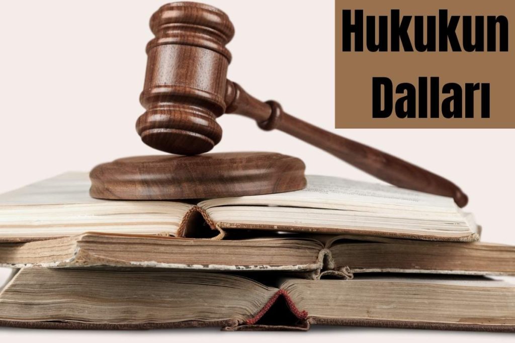 Hukukun Dalları