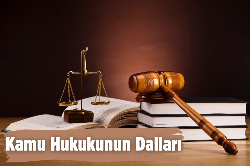Kamu Hukukunun Dalları