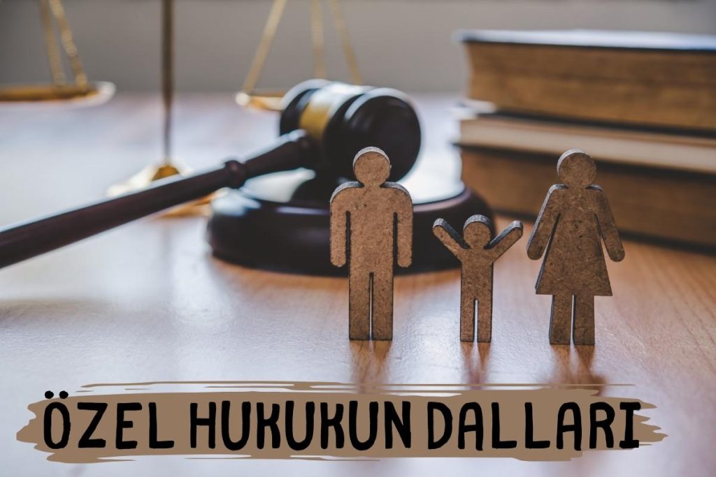 Özel Hukukun Dalları