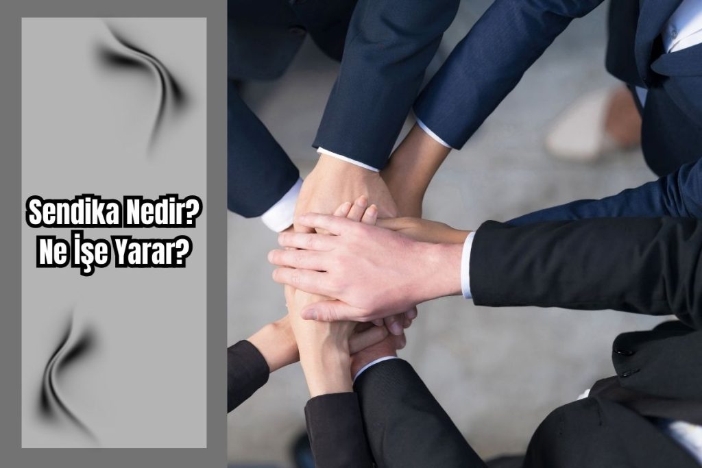 Sendika Nedir ne İşe Yarar?