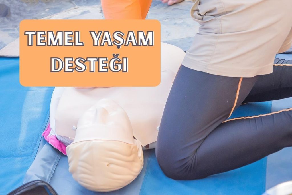Temel Yaşam Desteği