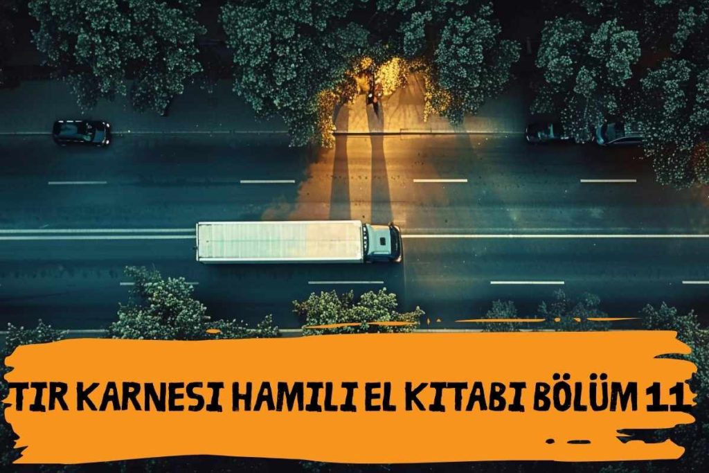 Tır Karnesi Hamili El Kitabı Bölüm 11