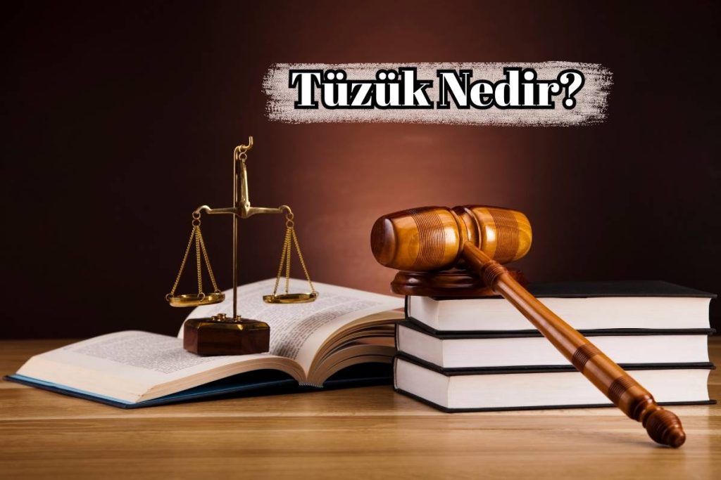 Tüzük Nedir? Tüzük Çıkarma Yetkisi Kimdedir?