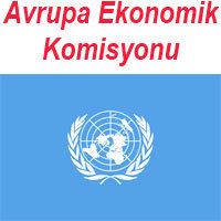 avrupa ekonomik komisyonu