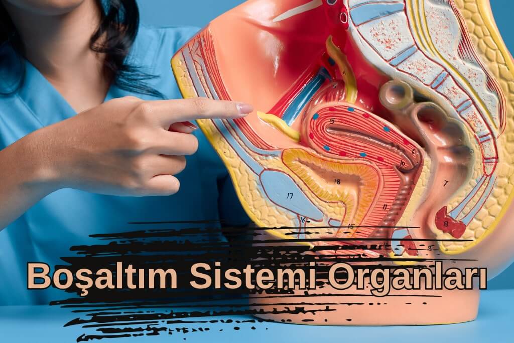 İlkyardım Boşaltım Sistemi