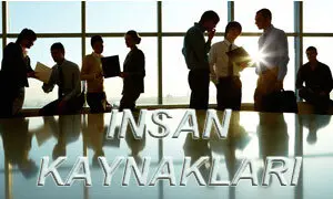 İnsan Kaynakları Yönetiminin İşlevleri 1 insan kaynakları yönetimi fonksiyonları