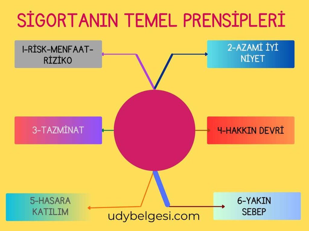 Sigortanın Prensipleri